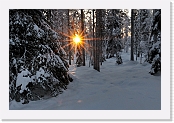 winter day in taiga forest_0208 * 900 x 599 * (478KB)